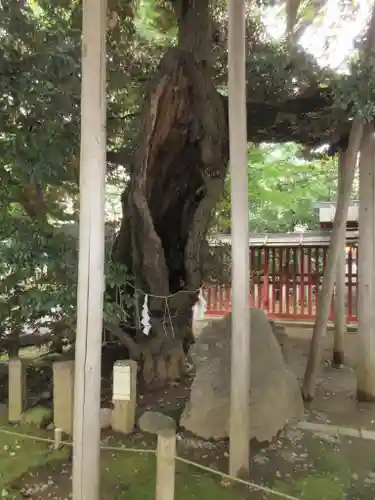 金王八幡宮のその他建物