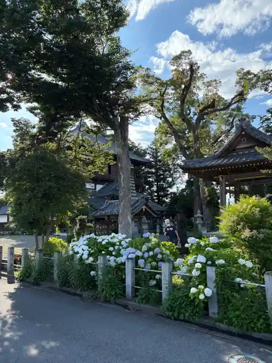 曹源寺(群馬県)