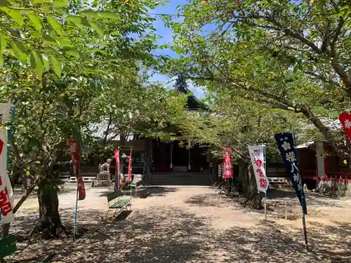 櫻八幡神社(大分県)
