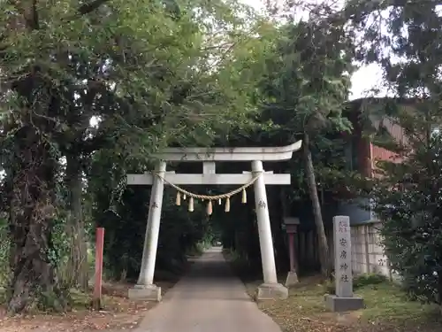 安房神社の鳥居