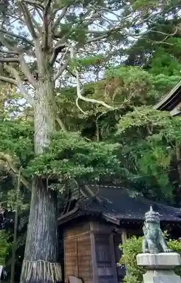 平潟八幡神社の庭園