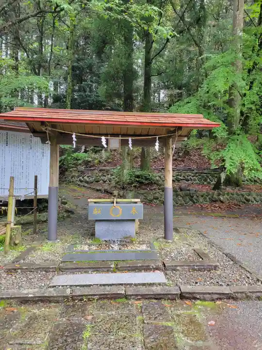 白鳥神社(宮崎県)