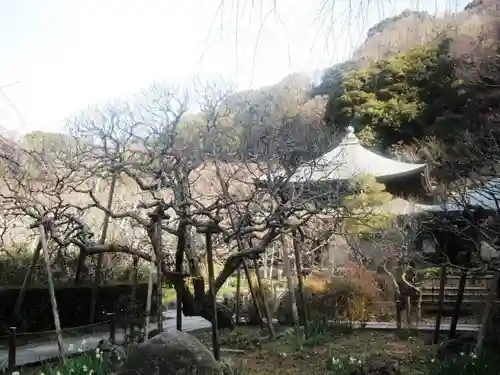 瑞泉寺の庭園