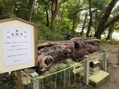 泉神社(茨城県)