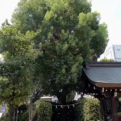 産土神社の自然