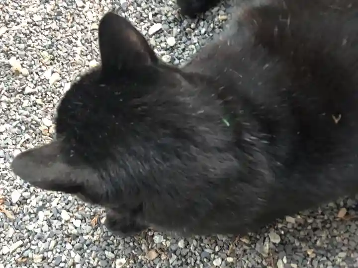 高司神社〜むすびの神の鎮まる社〜(福島県)