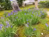 万法寺(福井県)