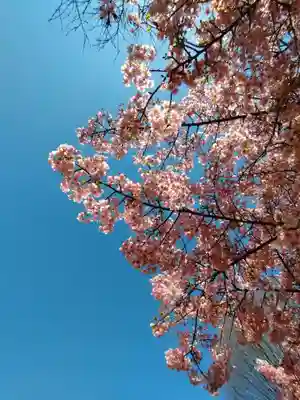 新井薬師（梅照院）(東京都)