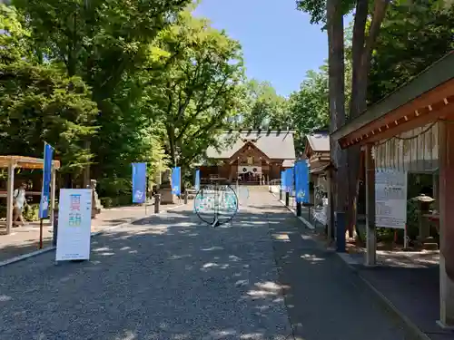 旭川神社の本殿・本堂