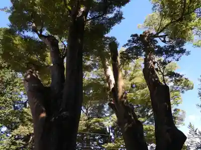 諏訪大社上社前宮(長野県)