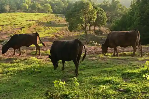 宇受賀命神社(島根県)