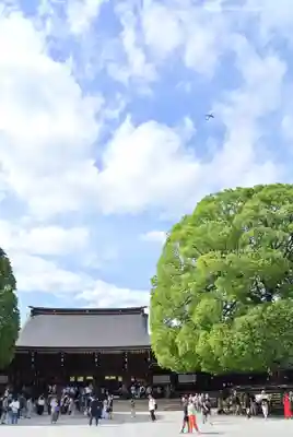 明治神宮(東京都)
