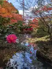 松源寺(島根県)