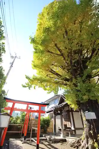 稼穡稲荷社(東京都)