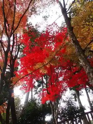 石座神社の自然