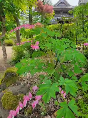 隆国寺(兵庫県)