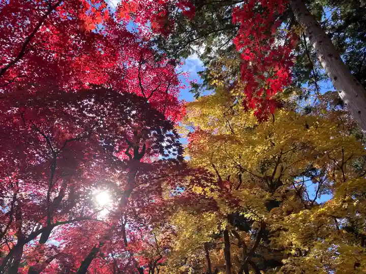 大国寺(兵庫県)