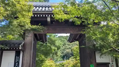 禅林寺（永観堂）の山門・神門