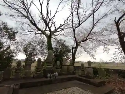 宗圓寺(埼玉県)