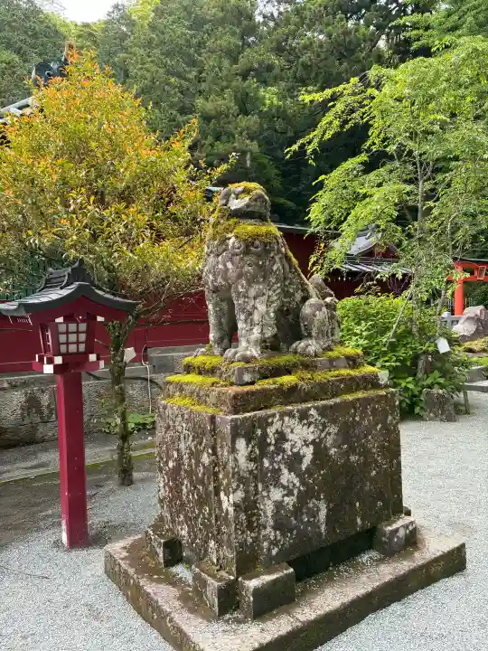 箱根神社の{uncategorized: "未分類", other: "その他", undefined: "問題あり", building: "その他建物", grave: "お墓", sacred_gate: "鳥居", guardian: "狛犬", statue: "像", buddha: "仏像", history: "歴史", nature: "自然", garden: "庭園", animal: "動物", pagoda: "塔", temizu: "手水舎", mountain_gate: "山門・神門", sanctuary: "本殿・本堂", subordinate: "末社・摂社", art: "芸術", scenery: "景色", jizo: "地蔵", ema: "絵馬", goshuin: "御朱印", omikuji: "おみくじ", items: "授与品その他", amulet: "お守り", goshuincho: "御朱印帳", eats: "食事", festival: "お祭り", votive_dance: "神楽", shichigosan: "七五三参", wedding: "結婚式", experience: "体験その他", initially: "初詣", around: "周辺", anti_infection: "感染症対策"}