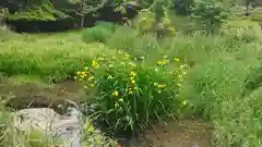 御蔭神社の自然