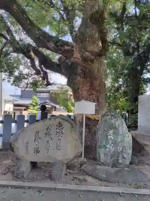伊豫豆比古命神社(愛媛県)
