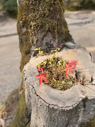 唐招提寺(奈良県)