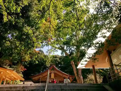 宝満宮竈門神社の建物その他