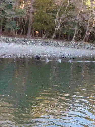伊勢神宮内宮（皇大神宮）の自然