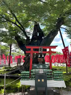 秩父今宮神社(埼玉県)