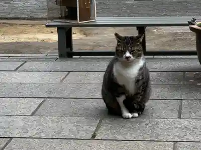 王子神社(徳島県)