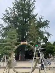 賀羅加波神社(広島県)