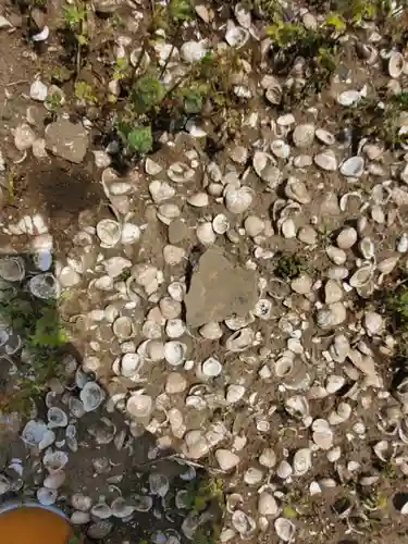 篠山神社(栃木県)