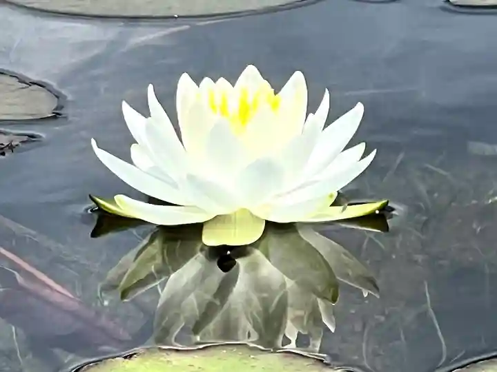 仁科神社(長野県)