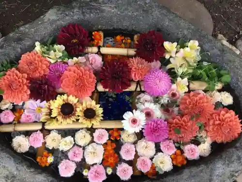 発寒神社の手水