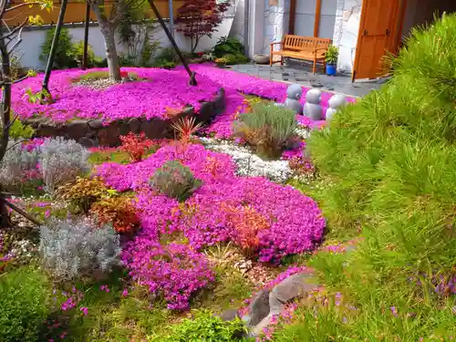 寿量山　速成寺(奈良県)