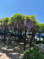 諏訪神社(宮城県)