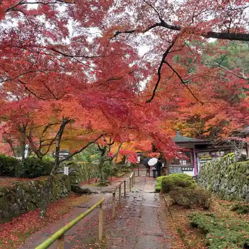 金剛輪寺(滋賀県)