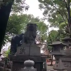 氷川神社の狛犬