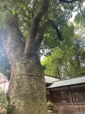 伊達神社(和歌山県)