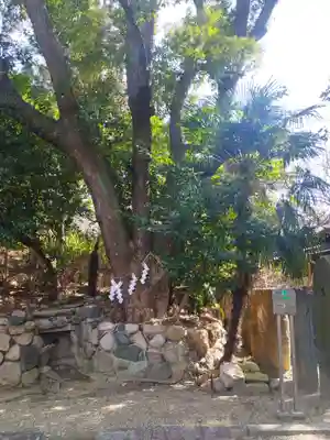 安居神社(大阪府)