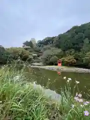 浄瑠璃寺(京都府)