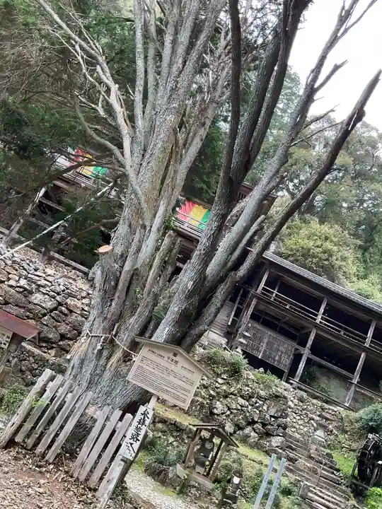 日龍峯寺(高澤観音)(美濃清水)(岐阜県)