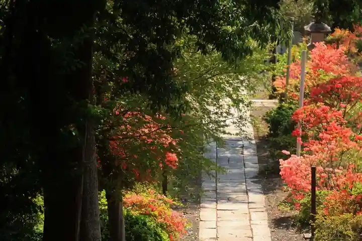 豊景神社の庭園