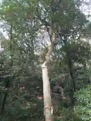 美具久留御魂神社(大阪府)