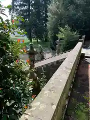 湯泉神社の自然