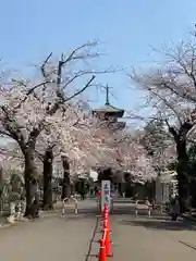 池上本門寺の建物その他