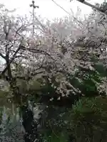 鷲神社(埼玉県)