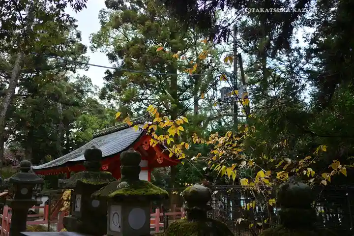 春日大社(奈良県)