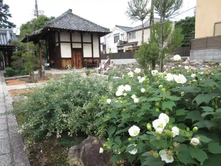 成願寺のその他建物